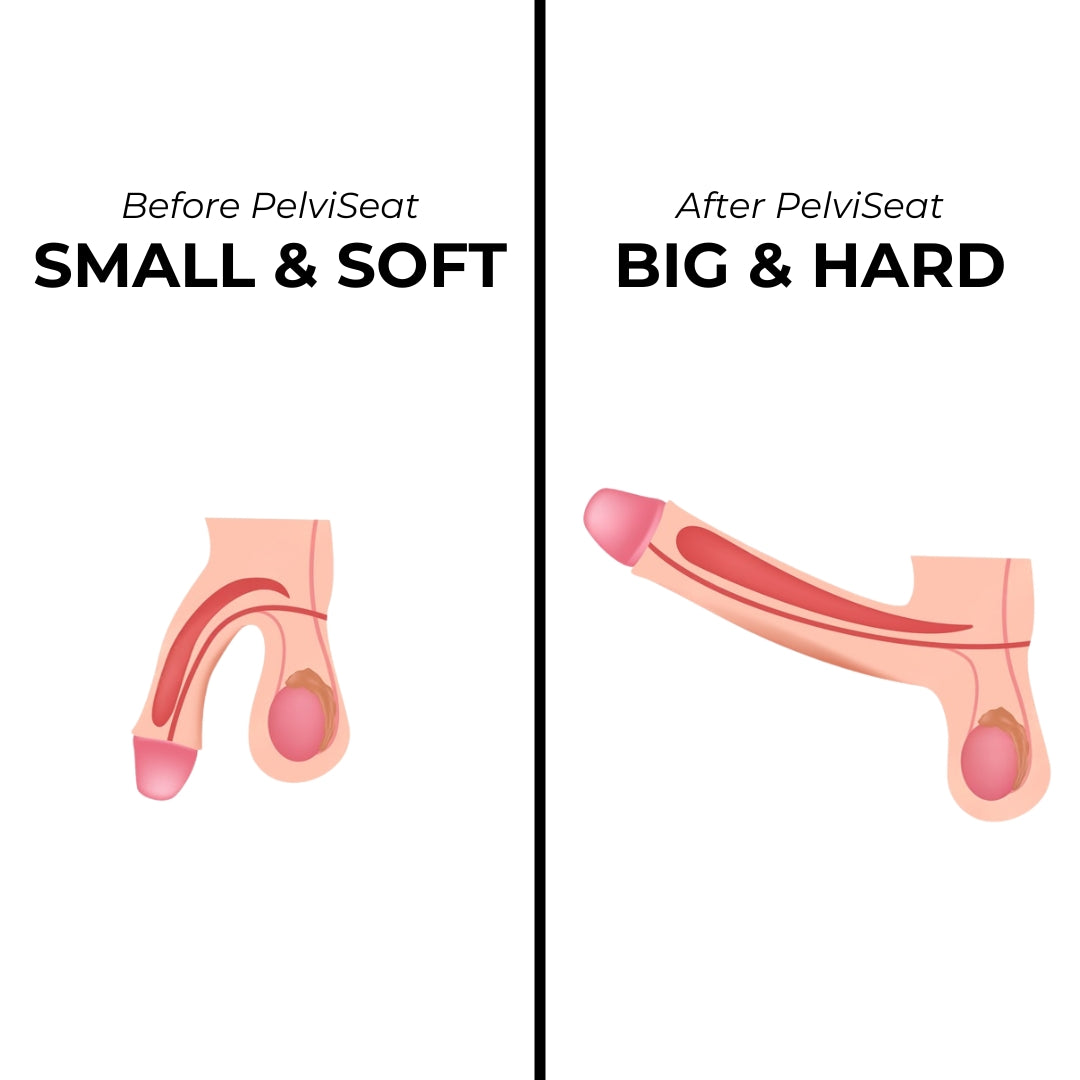 PelviSeat™ - EMS Pelvic Floor Trainer