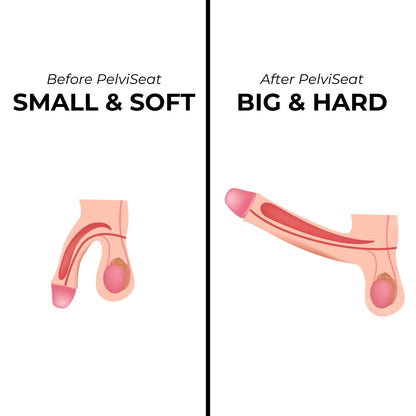 PelviSeat™ - EMS Pelvic Floor Trainer